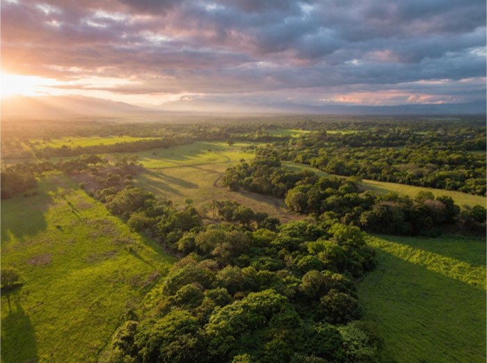 Vista aérea de Hacienda Corteza Real, Llanos de Cortés, Bagaces
